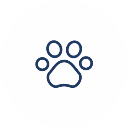 seguros para mascotas